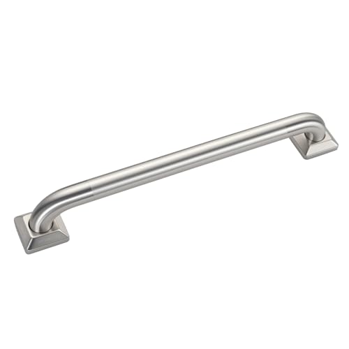 500lb Capacity Stainless Steel Grab Bar