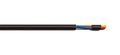 22AWG 12C Unshielded Cable Wire (25 Foot)