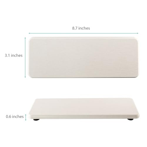 2Pcs Stone Soap Trays Water Absorbing Diatomite Coaster (2 Count)