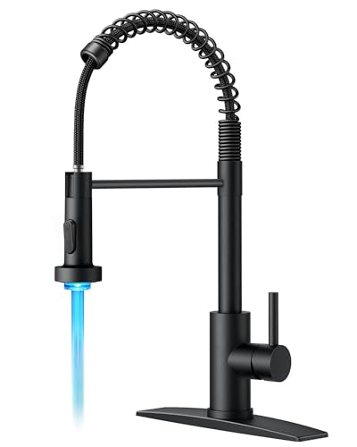 Black Kitchen Faucet with LED Light Sprayer