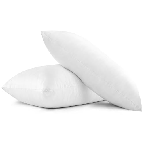 2 Pack 20x30 Inch Bed Pillows (2 Count)