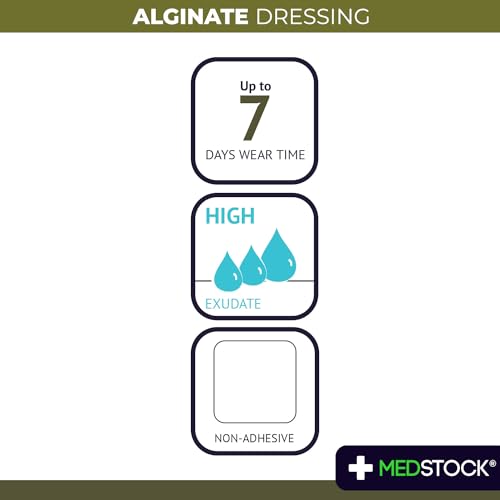 Alginate Dressing (10 Count)