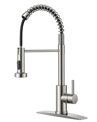 Kitchen Faucet Pull Down Sprayer