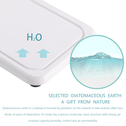 2Pcs Water Absorbent Diatomite Coasters Bathroom Sink Stone Trays (2 Count)