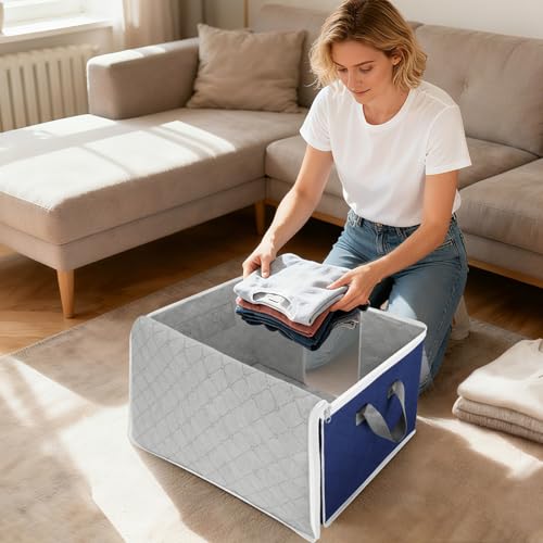 4 Pack Clothes Storage Bags (4 Count)