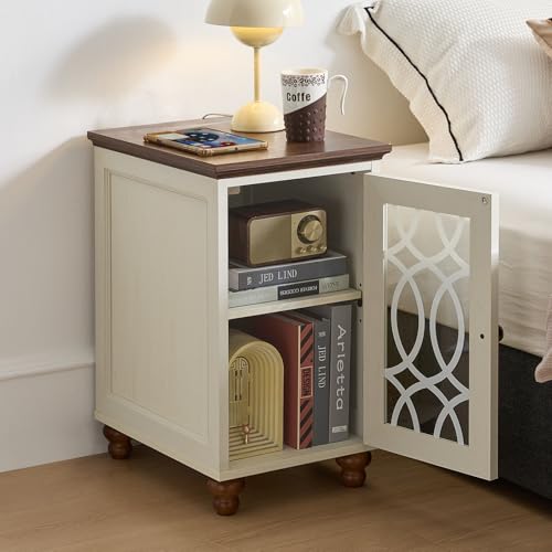 Narrow Side Table Set 2 with Glass Door Storage (2 Count)