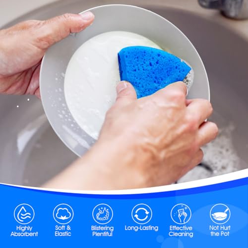 Non Scratch Scrub Sponges (24 Count)