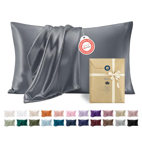 Satin Pillowcases Queen Set of 2 (2 Count)