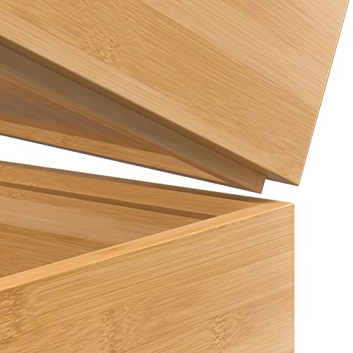 Silverware Tray for Drawer (2 Count)