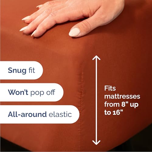 Queen 6 Piece Bed Sheet Set (6 Count)