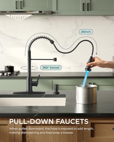 Black Kitchen Faucet with LED Light Sprayer