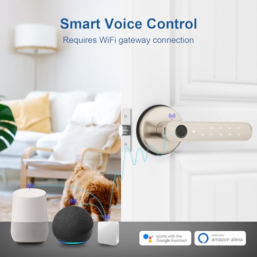 Fingerprint Door Lock