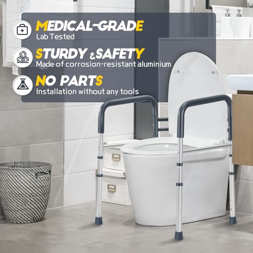 Toilet Safety Rails