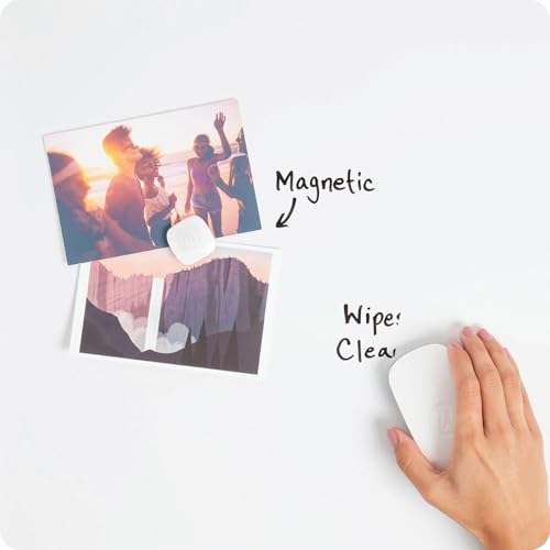 Dry Erase Whiteboard