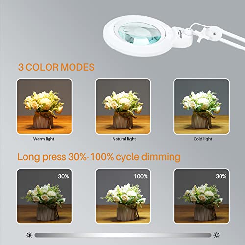 Bifocal Magnifying Lamp with Clamp