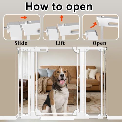 40" Extra Tall Clear Acrylic Dog Gate 29.52