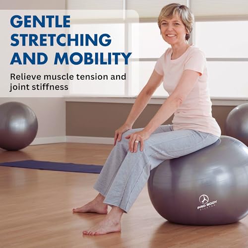 Yoga Ball Vibrant Colors Exercise Ball