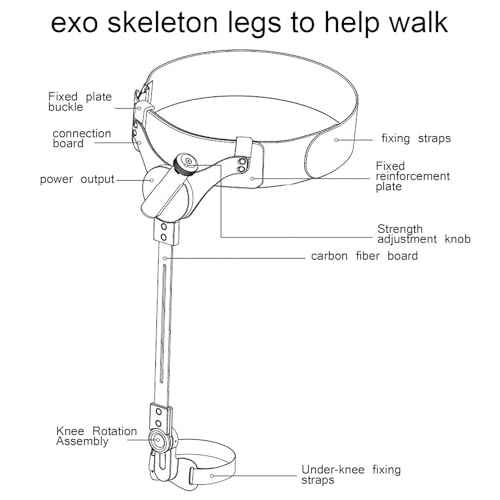 Bionic Walking Aid Device