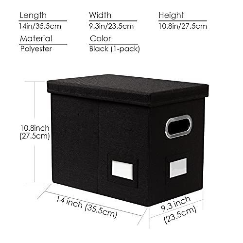 File Organizer Box