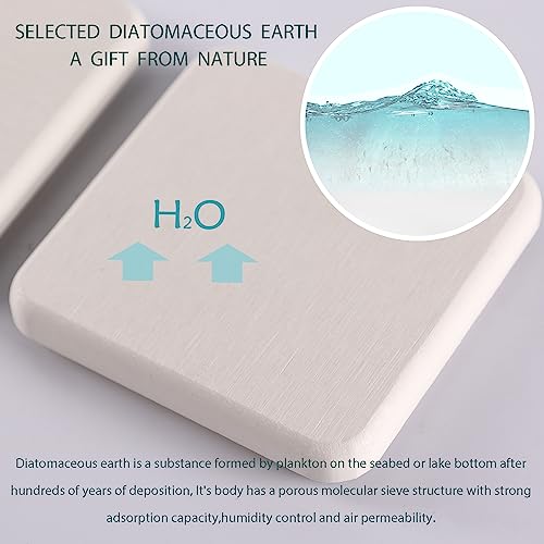 2Pcs Stone Soap Trays Water Absorbing Diatomite Coaster (2 Count)