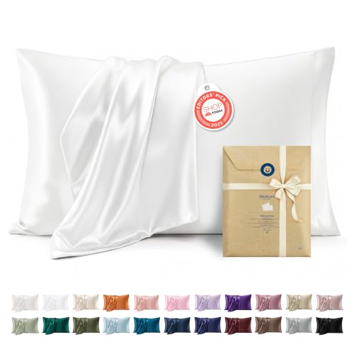 Satin Pillowcases Queen Set of 2 (2 Count)