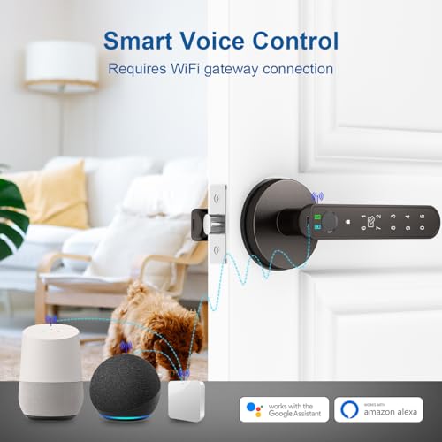 Fingerprint Door Lock