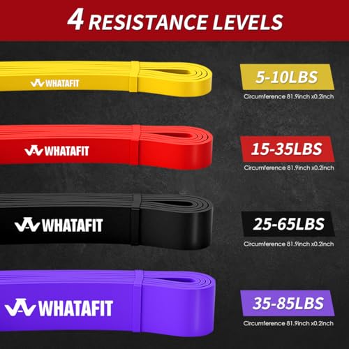 Resistance Bands