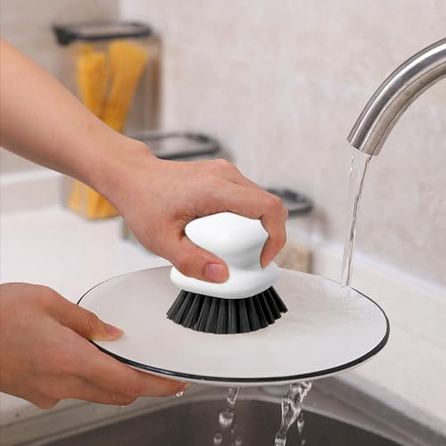 Dish Brush with Handle
