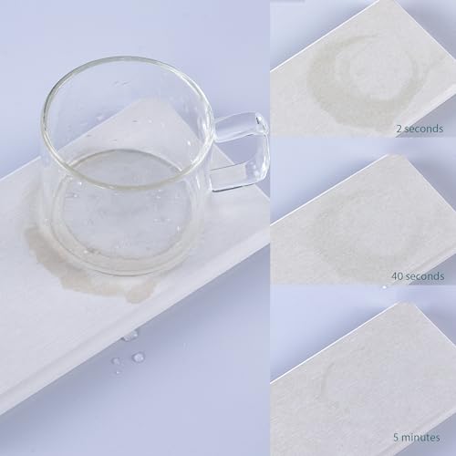 2Pcs Stone Soap Trays Water Absorbing Diatomite Coaster (2 Count)