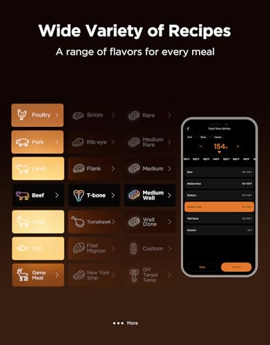 Bluetooth Meat Thermometer Digital with App Alerts and Timer Mode (2 Count)