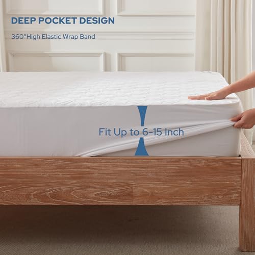 2 Pack Waterproof Mattress Protector Twin Size (2 Count)