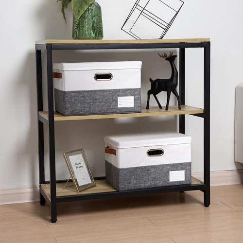 Foldable Storage Bins with Lids [3 (3 Count)