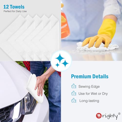 Microfiber Cleaning Cloth (12 Count)