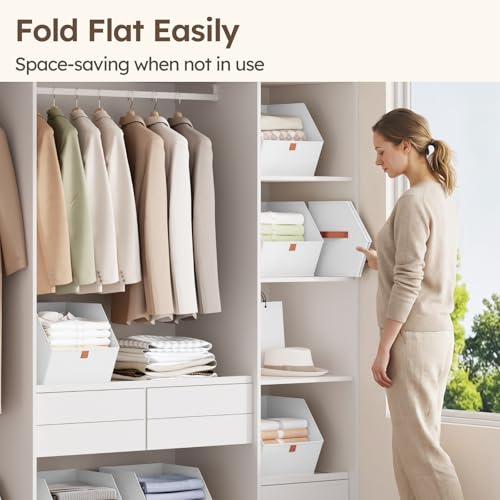 Fabric Closet Storage Cubes (6 Count)