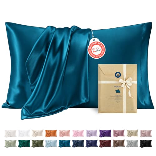 Satin Pillowcase Standard Set of 2 (2 Count)