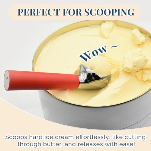 Heated Ice Cream Scoop Rechargeable