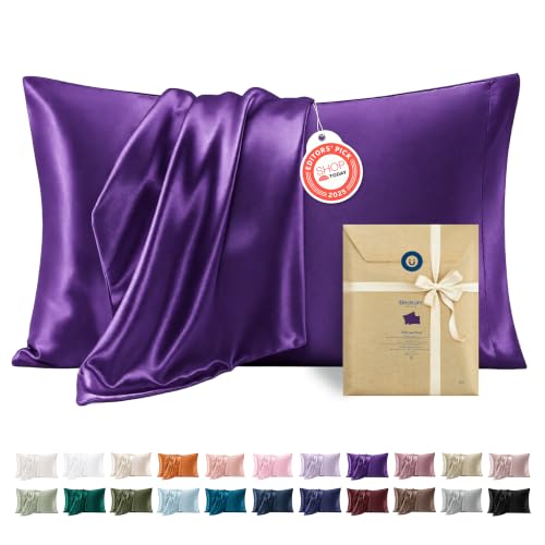 Satin Pillowcase Queen Set of 2 (2 Count)