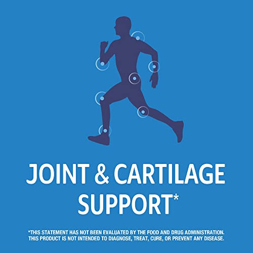 Arthri Flex Advantage + D3 Joint Support Tablets (120 Count)