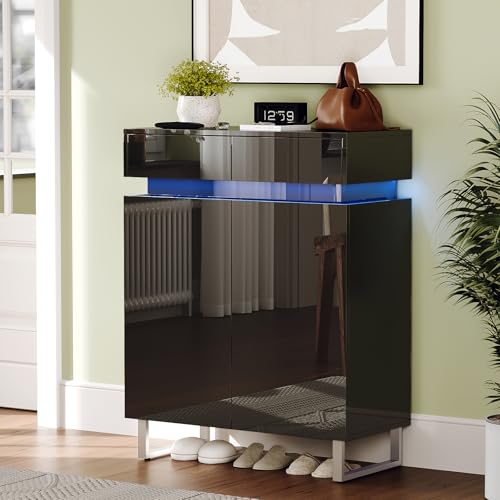Black Shoe Cabinet with LED Lights