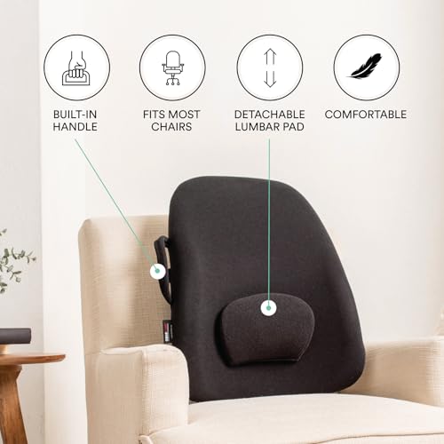 Lowback Backrest Support