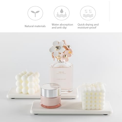 2Pcs Stone Soap Trays Water Absorbing Diatomite Coaster (2 Count)