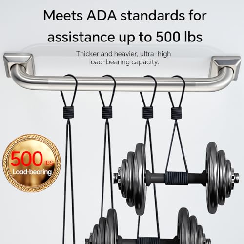 500lb Capacity Stainless Steel Grab Bar
