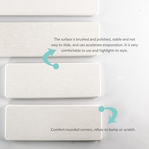 2Pcs Stone Soap Trays Water Absorbing Diatomite Coaster (2 Count)