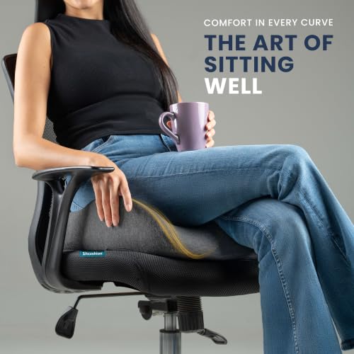 Ergo Office Chair Cushion for Back Pain