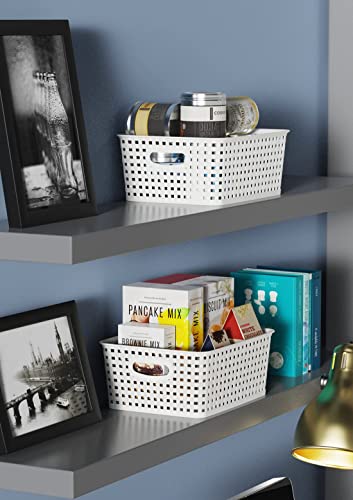 Woven Plastic Storage Baskets (6 Count)