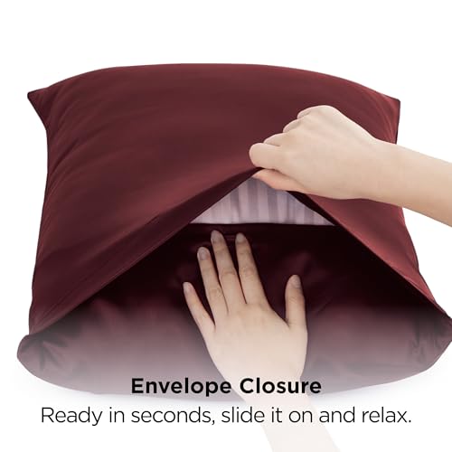 Satin Pillowcases Queen Set of 2 (2 Count)