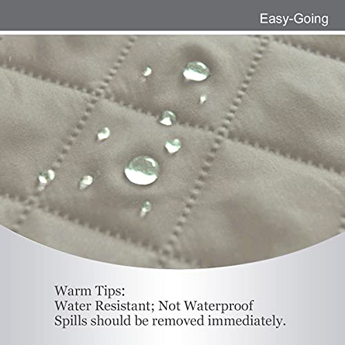 Reversible Couch Cover