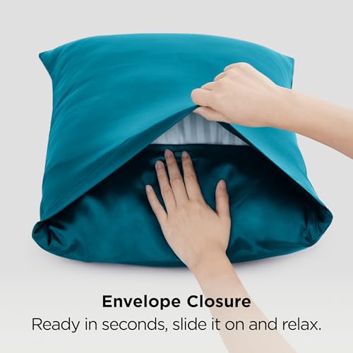 Satin Pillowcase Standard Set of 2 (2 Count)