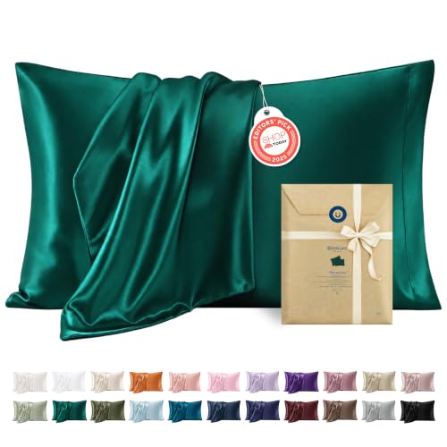 Satin Pillowcases Standard Set of 2 (2 Count)