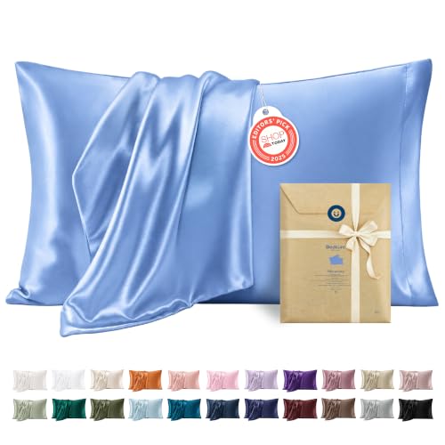 Satin Pillowcases King Set of 2 (2 Count)